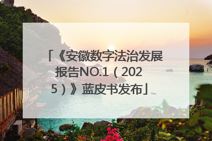 《安徽数字法治发展报告NO.1（2025）》蓝皮书发布