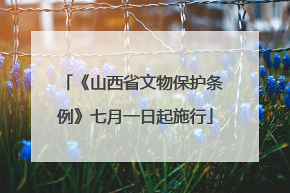 《山西省文物保护条例》七月一日起施行