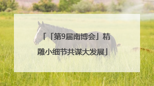 「第9届南博会」精雕小细节共谋大发展
