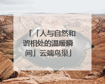 「人与自然和谐相处的温暖瞬间」云端鸟巢