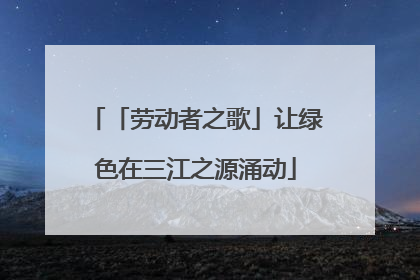 「劳动者之歌」让绿色在三江之源涌动