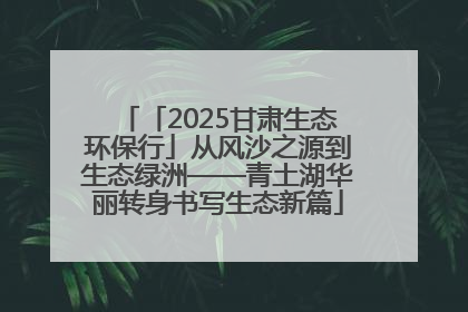 「2025甘肃生态环保行」从风沙之源到生态绿洲——青土湖华丽转身书写生态新篇
