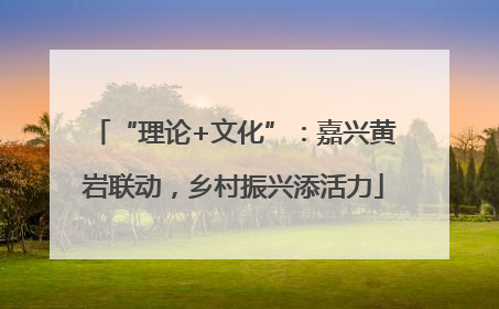 “理论+文化”：嘉兴黄岩联动，乡村振兴添活力