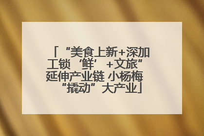“美食上新+深加工锁‘鲜’+文旅”延伸产业链 小杨梅“撬动”大产业