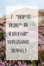 “保护文化遗产·我们在行动”宣传活动在泉举行