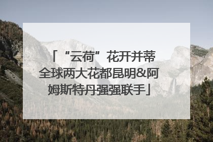 “云荷”花开并蒂 全球两大花都昆明&阿姆斯特丹强强联手