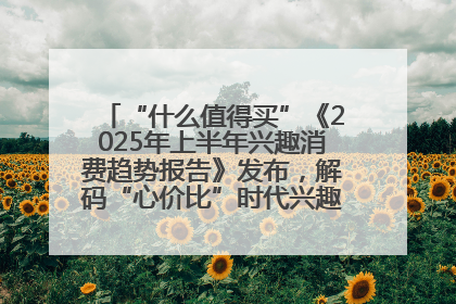“什么值得买”《2025年上半年兴趣消费趋势报告》发布，解码“心价比”时代兴趣消费新范式