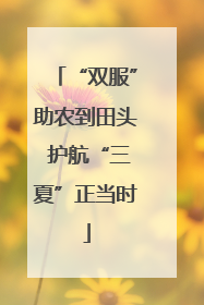 “双服”助农到田头 护航“三夏”正当时
