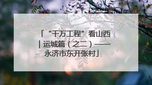 “千万工程”看山西｜运城篇（之二）——永济市东开张村