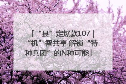 “县”定爆款107｜“机”智共享 解锁“特种兵团”的N种可能