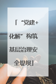 “党建+化解”构筑基层治理安全堤坝