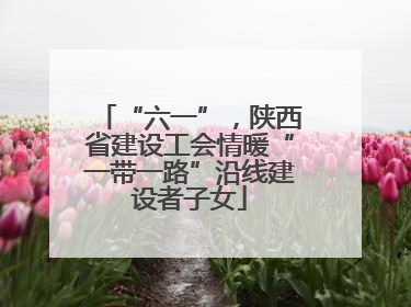 “六一”，陕西省建设工会情暖“一带一路”沿线建设者子女