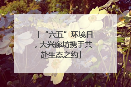 “六五”环境日，大兴廊坊携手共赴生态之约