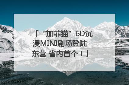 “加菲猫”6D沉浸MINI剧场登陆东营 省内首个！