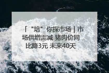“培”你探市场｜市场供增需减 猪肉价同比降3元 未来40天便宜猪肉敞开吃