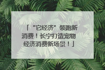 “它经济”领跑新消费！长宁打造宠物经济消费新场景！