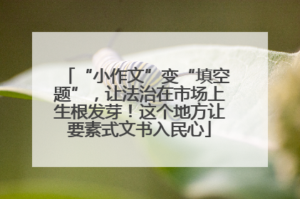 “小作文”变“填空题”，让法治在市场上生根发芽！这个地方让要素式文书入民心