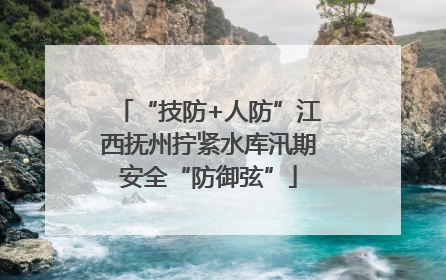 “技防+人防”江西抚州拧紧水库汛期安全“防御弦”