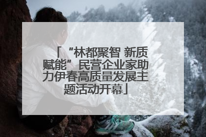 “林都聚智 新质赋能”民营企业家助力伊春高质量发展主题活动开幕
