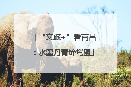 “文旅+”看南昌：水墨丹青缔鸳盟