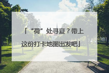 “荷”处寻夏？带上这份打卡地图出发吧