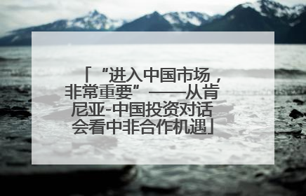 “进入中国市场，非常重要”——从肯尼亚-中国投资对话会看中非合作机遇