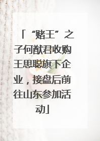 “赌王”之子何猷君收购王思聪旗下企业，接盘后前往山东参加活动
