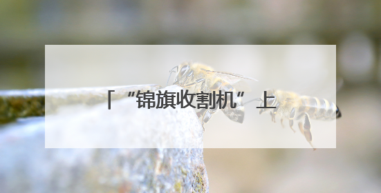 “锦旗收割机”上线！滨城区市东派出所暖心故事来袭
