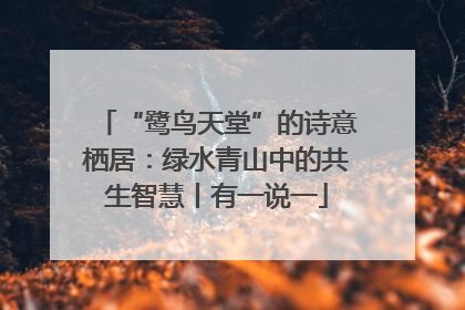 “鹭鸟天堂”的诗意栖居：绿水青山中的共生智慧丨有一说一