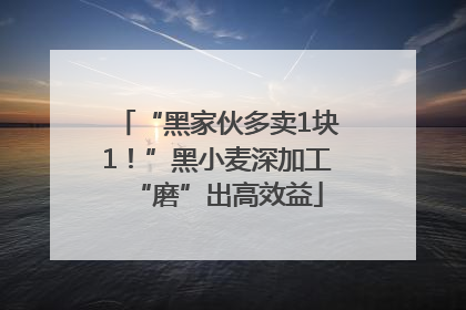 “黑家伙多卖1块1！”黑小麦深加工“磨”出高效益