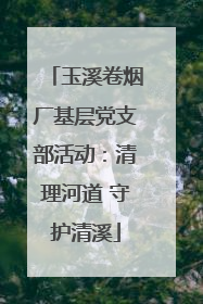 玉溪卷烟厂基层党支部活动：清理河道 守护清溪