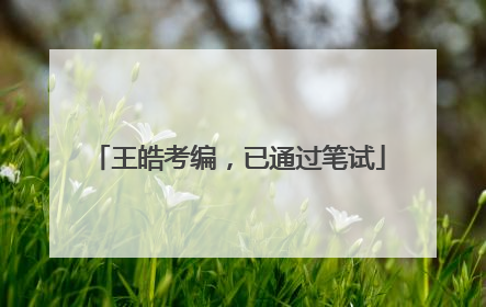 王皓考编，已通过笔试