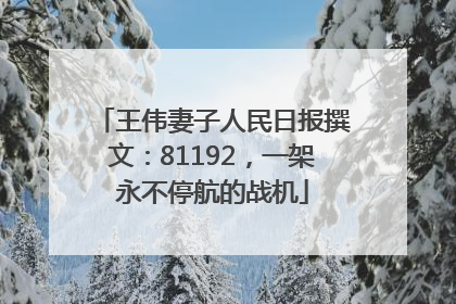 王伟妻子人民日报撰文：81192，一架永不停航的战机