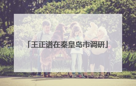 王正谱在秦皇岛市调研