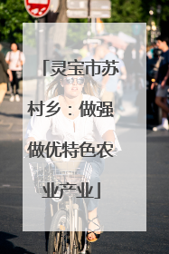 灵宝市苏村乡：做强做优特色农业产业