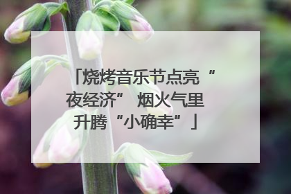 烧烤音乐节点亮“夜经济” 烟火气里升腾“小确幸”