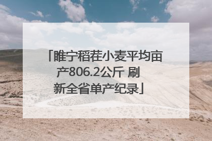 睢宁稻茬小麦平均亩产806.2公斤 刷新全省单产纪录