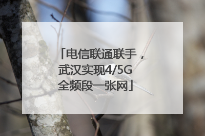电信联通联手，武汉实现4/5G全频段一张网
