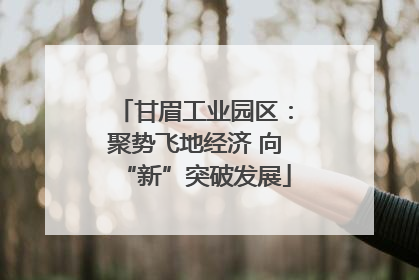 甘眉工业园区：聚势飞地经济 向“新”突破发展