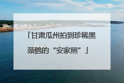 甘肃瓜州拍到珍稀黑颈鹤的“安家照”