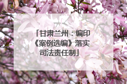 甘肃兰州：编印《案例选编》落实司法责任制