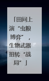 田间上演“虫粮博弈”，生物武器扭转“战局”