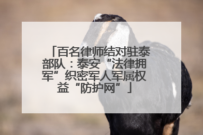 百名律师结对驻泰部队：泰安“法律拥军”织密军人军属权益“防护网”