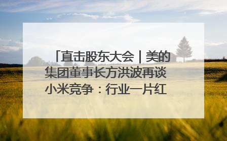 直击股东大会｜美的集团董事长方洪波再谈小米竞争：行业一片红海，打法已固定，无论谁胜都是消耗战