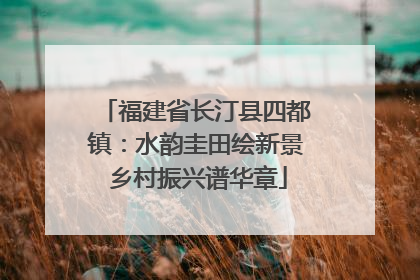 福建省长汀县四都镇：水韵圭田绘新景 乡村振兴谱华章