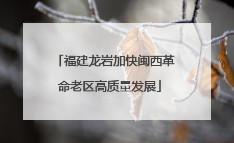 福建龙岩加快闽西革命老区高质量发展