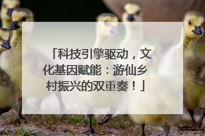 科技引擎驱动，文化基因赋能：游仙乡村振兴的双重奏！
