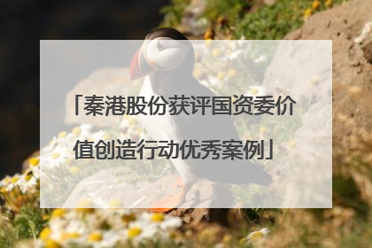 秦港股份获评国资委价值创造行动优秀案例