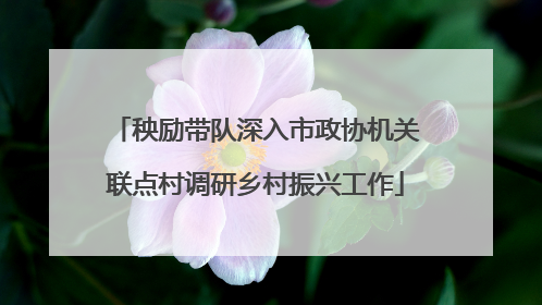 秧励带队深入市政协机关联点村调研乡村振兴工作