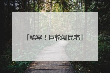 稀罕！巨轮闯民宅